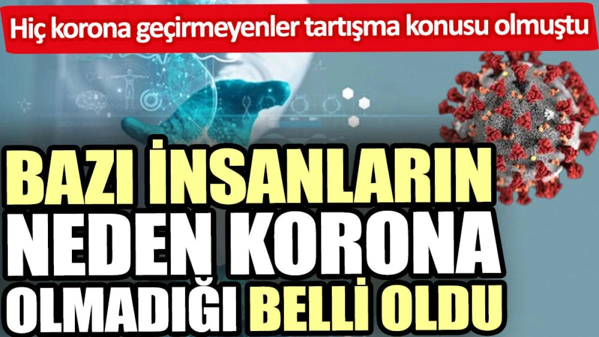 Bazı insanların neden korona olmadığı belli oldu 